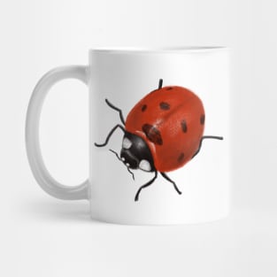 Ladybird Mug